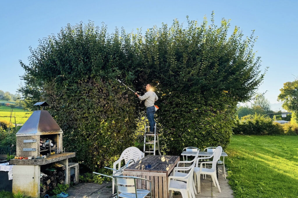 gartenpflege 3
